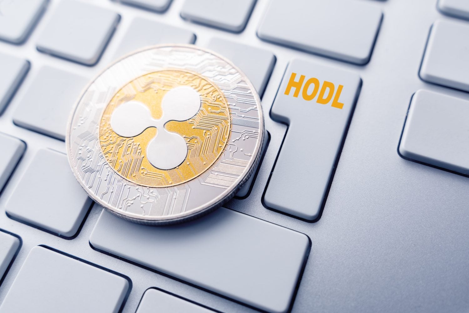 How much XRP to hold: A position-sizing framework