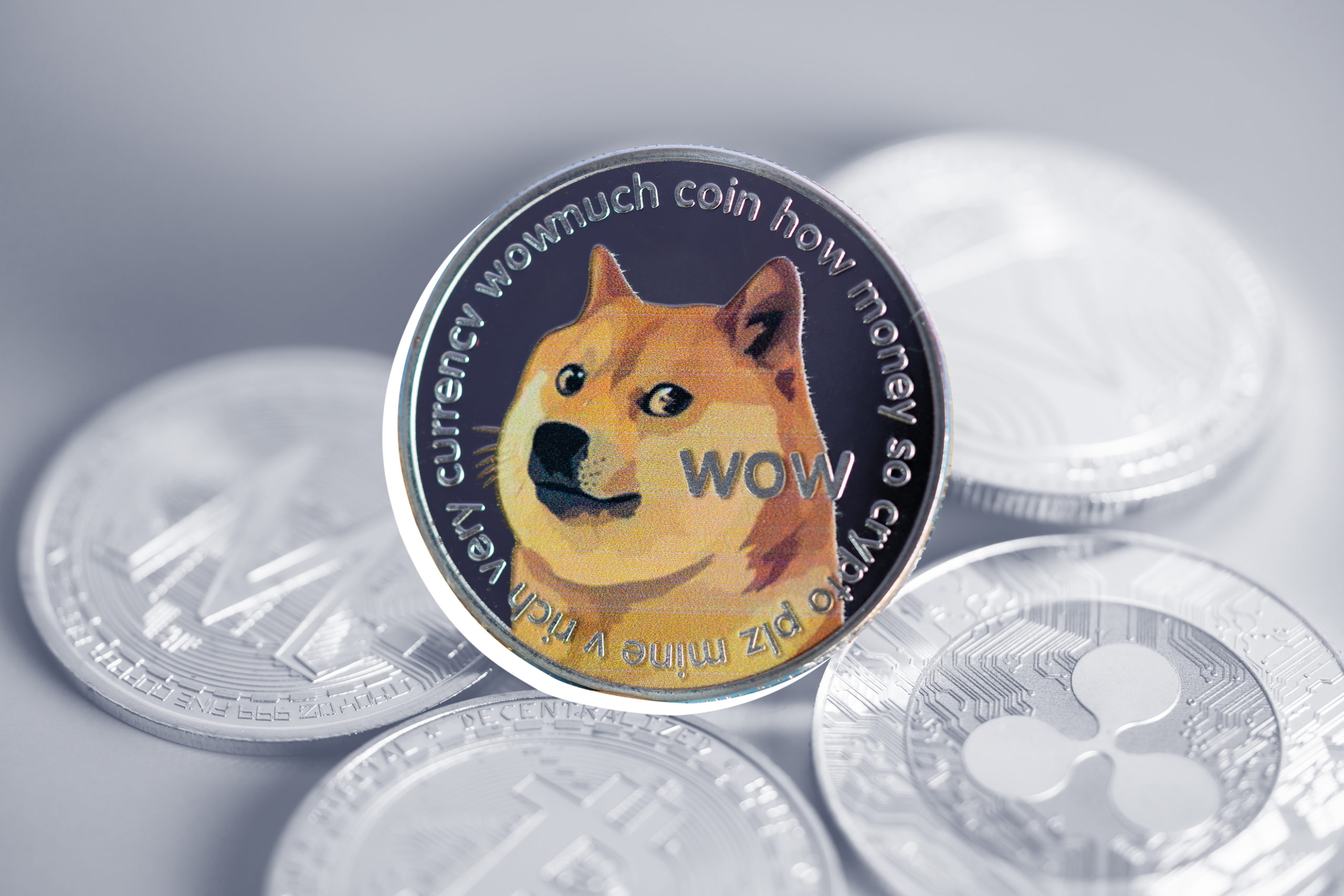 Who should consider Dogecoin, who should not