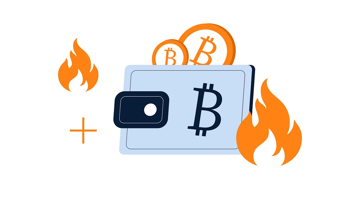 Best software (hot) wallets in 2026