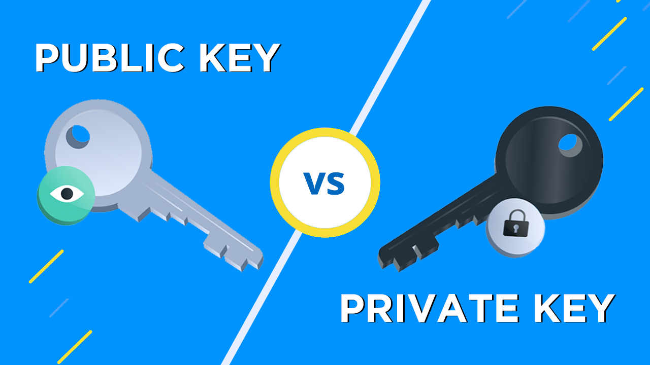 Public Key vs Private Key Differences Explained Simply