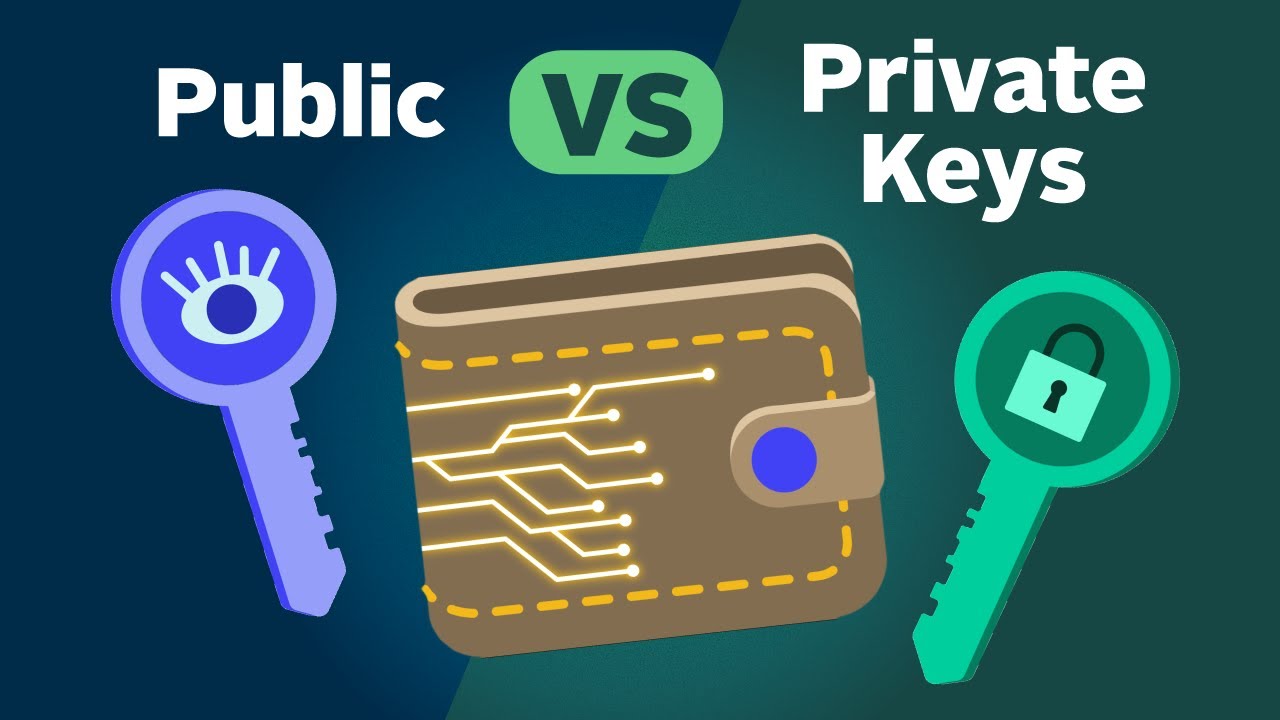 Public and private keys in cryptocurrency wallets
