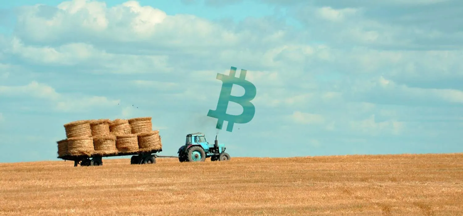Risks of yield farming