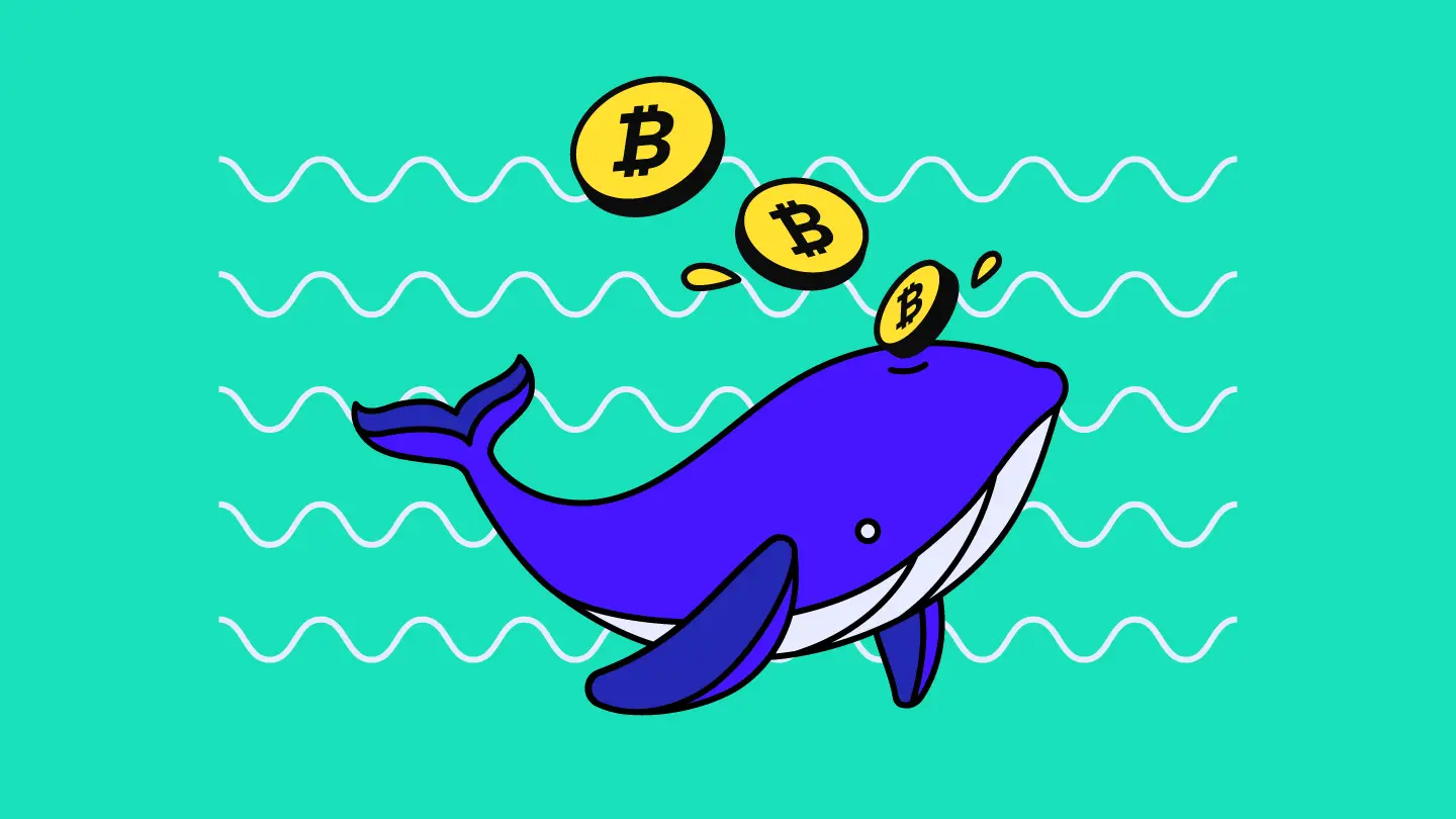 What are crypto whales?